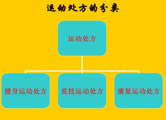 初级有氧运动简单_初学者有氧运动_怎么做氧运动